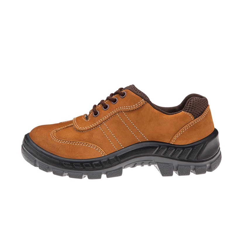 50T18-CO-NUB-002_MG_5014-2 50T18-CO-NUB-002_MG_5014-2